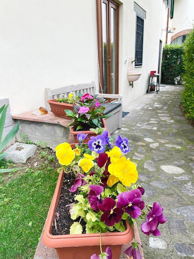 Dalu Florence Apartment Lucilla - Private Car Park 15 Minutes To The City Center Exterior photo